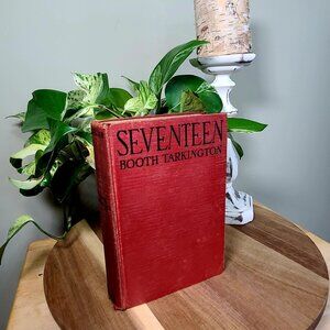Antique Seventeen by Booth Tarkington, Hard Cover, Grosset & Dunlap ~ 1916